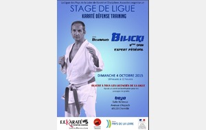 Stage FFKDA de la ligue des pays de la Loire