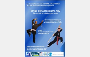 STAGE  DEPARTEMENTAL AMV