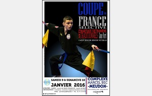 Coupe de France 2015