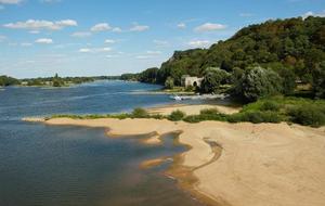 Cours de Qi Gong et de Kung Fu en extérieur