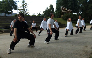 Cours de Qi Gong et de Kung Fu en extérieur