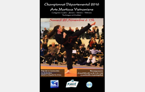 Championnat départemental  des Arts Martiaux Vietnamiens 