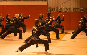 Cours de Kung Fu avec Maître NEGRE 