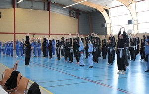 Stage des Arts Martiaux Vietnamiens du grand Ouest