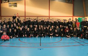 Stage des arts martiaux vietnamiens à Ancenis