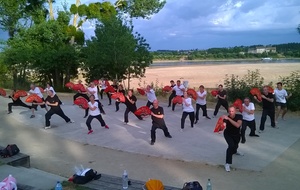 Cours de Qi Gong et de Kung Fu en extérieur