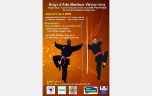 Stage des Arts Martiaux Vietnamiens