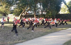 Cours de Qi Gong et de Kung Fu en extérieur