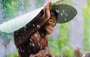 Info de dernière minute