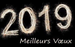 Bonne année 2019 !