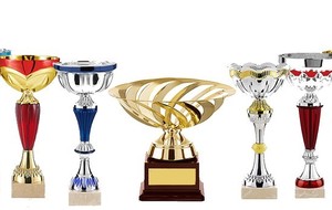 2ème Coupe de l'école Cuu Long Vo Dao