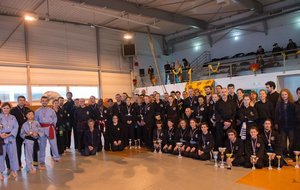 2ème Coupe de l'école Cuu Long Vo Dao à Ancenis