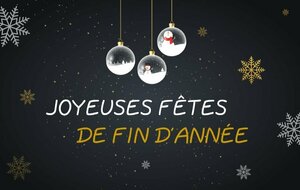 Joyeuses fêtes de fin d'année !
