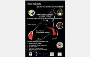 Retour vidéo du stage régional des arts martiaux vietnamiens le 19 février 2022 à Ancenis