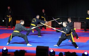 Retour sur le festival Atlantique des arts martiaux au Zénith de Nantes 2022