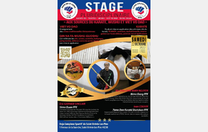 STAGE PLURIDISCIPLINAIRE