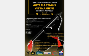 Coupe open départemental des arts martiaux vietnamiens à Ancenis 