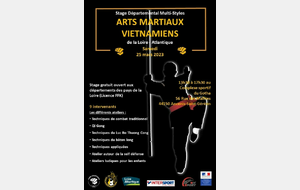 Stage multi-styles des Arts Martiaux Vietnamiens 2023