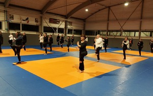 Le Qi Gong à Ancenis