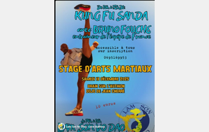 Stage de Kung Fu Sanda &amp; Techniques du Tigre de l'école Lam Son Võ Dao