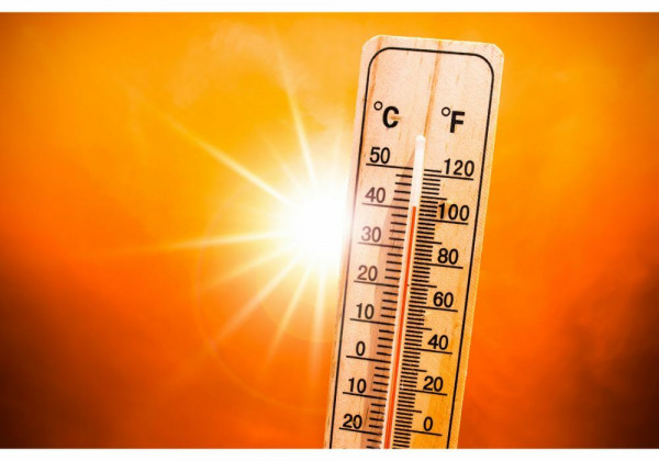 Alerte canicule vigilance orange fermeture des équipements sportifs