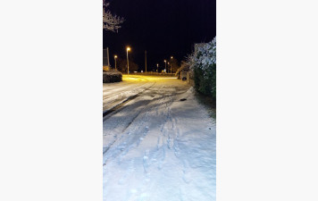 Les cours sont annulés !