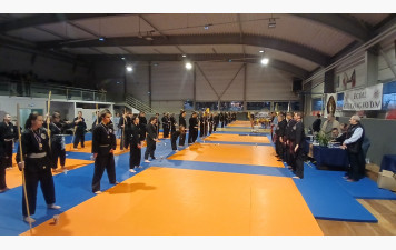 Les Arts Martiaux Sino Vietnamiens seront mis à l’honneur !