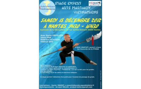 Stage Expert des Arts Martiaux Vietnamiens