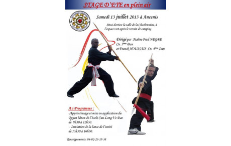 Stage d'été 2013 de l'école Cuu Long Vo Dao des pays de la Loire
