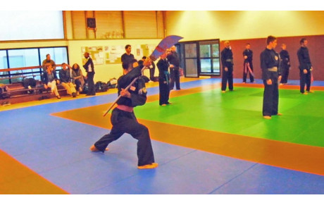 Stage Minh Long à Saint Herblain