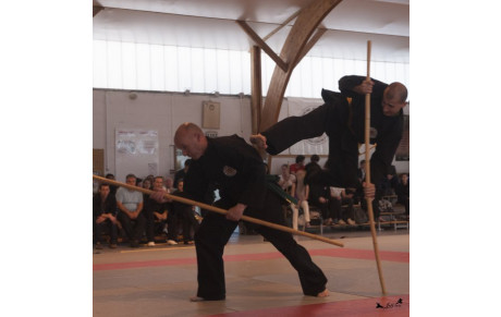 Passage des grades de l'école Cuu Long Vo Dao région pays de la Loire