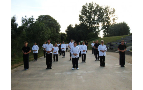 Cours de Qi Gong et de Kung Fu en extérieur 