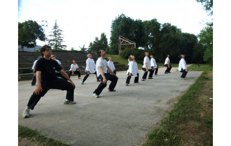 Cours de Qi Gong et de Kung Fu en extérieur