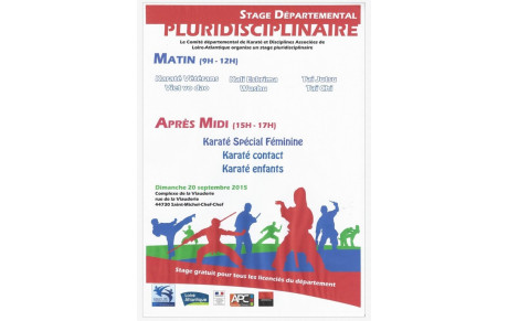 Stage Départemental