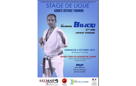 Stage FFKDA de la ligue des pays de la Loire