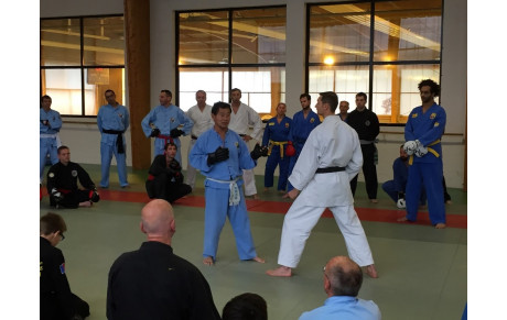 Stage des arts martiaux Vietnamiens ligue des pays de la Loire