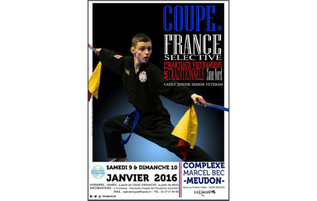 Coupe de France 2015