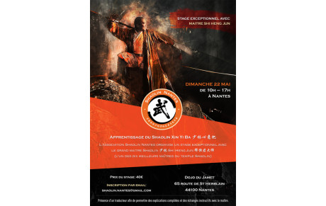 Stage exceptionnel avec Maitre Shi Heng Jun 