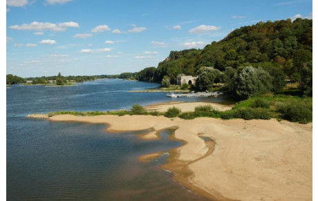 Cours de Qi Gong et de Kung Fu en extérieur