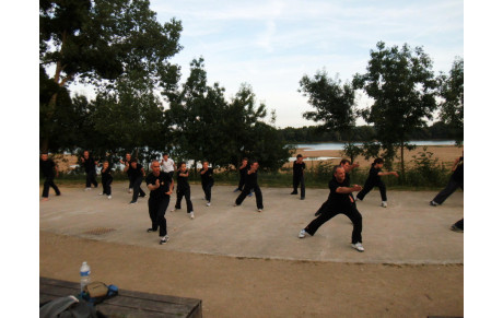 Cours de Qi Gong et de Kung Fu en extérieur