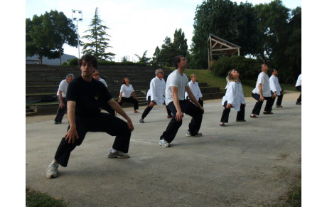Cours de Qi Gong et de Kung Fu en extérieur