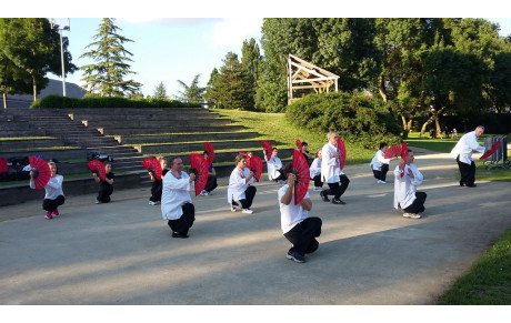 Cours de Qi Gong et de Kung Fu en extérieur