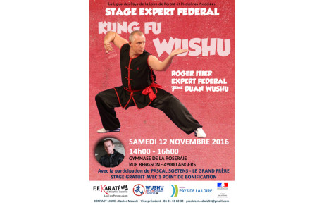 Stage WUSHU 