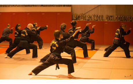 Cours de Kung Fu avec Maître NEGRE 