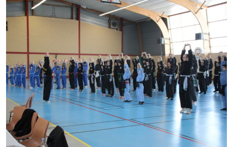 Stage des Arts Martiaux Vietnamiens du grand Ouest