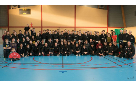 Stage des arts martiaux vietnamiens à Ancenis