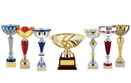 1ère Coupe de l'école CUU LONG VO DAO du grand Ouest