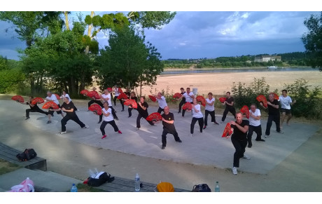 Cours de Qi Gong et de Kung Fu en extérieur