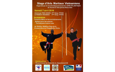 Stage des Arts Martiaux Vietnamiens