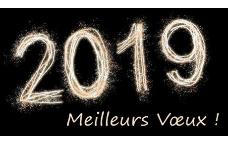 Bonne année 2019 !
